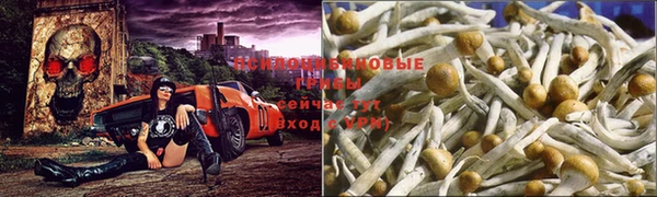 mix Алексеевка