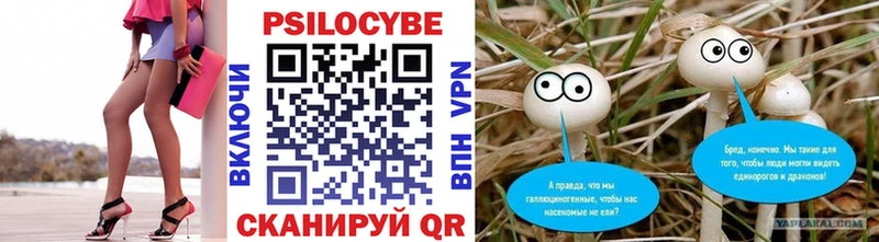Галлюциногенные грибы GOLDEN TEACHER  купить закладку  Нижнеудинск 